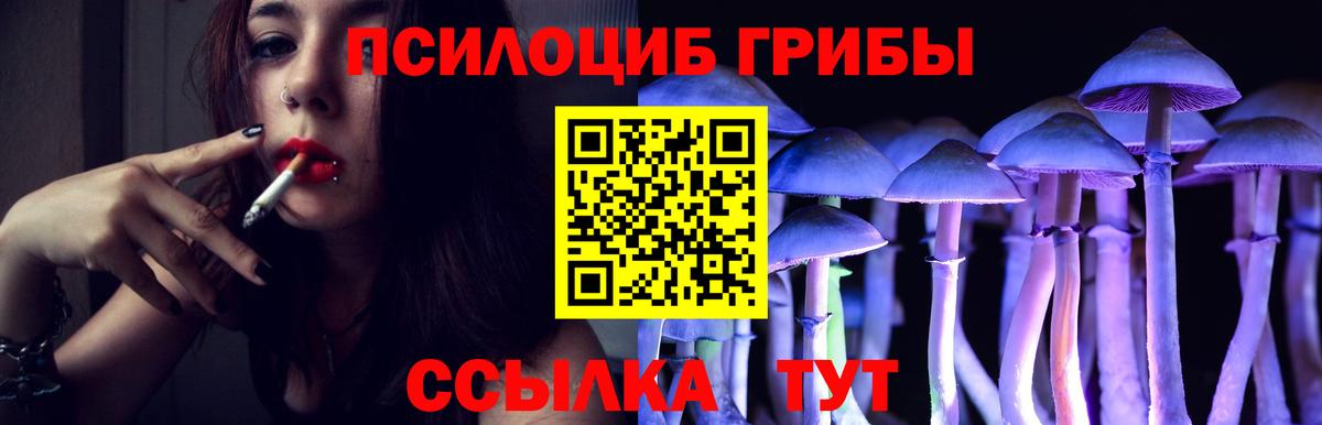 Псилоцибиновые грибы Psilocybe  Вход с VPN  Галлюциногенные грибы мицелий  Чита 
